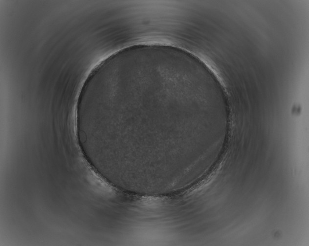 X0000094440840200711211454