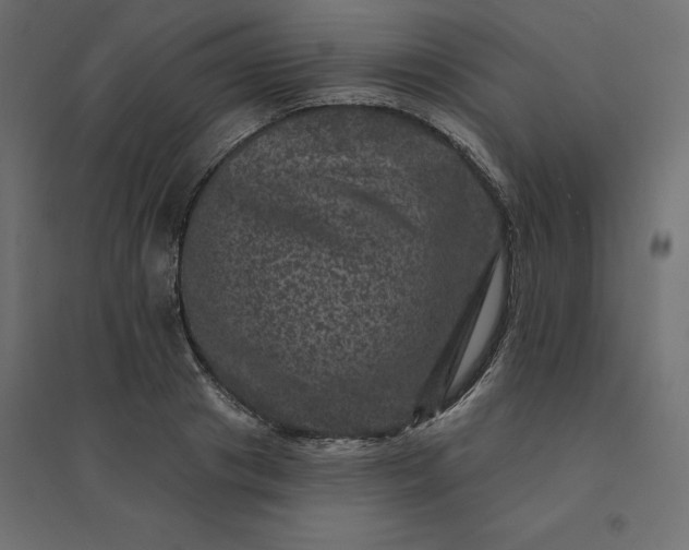 X0000094440841200711211454