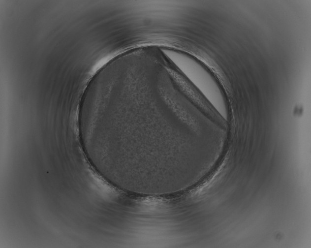 X0000094440842200711211454