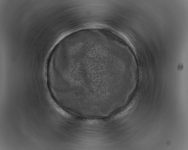 X0000094440843200711211454