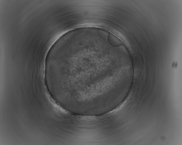 X0000094440844200711211454