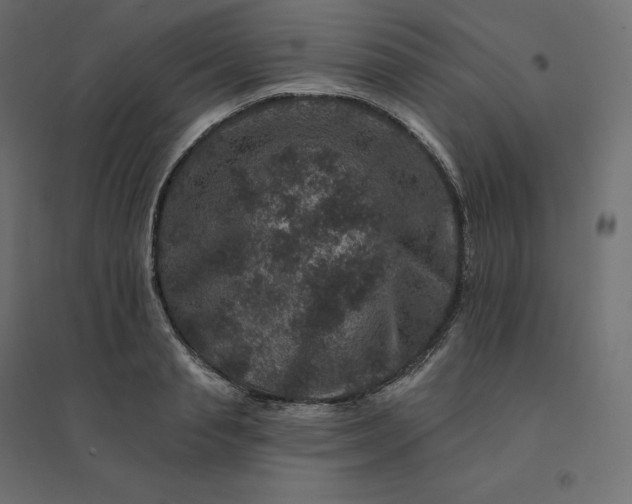 X0000094440845200711211454