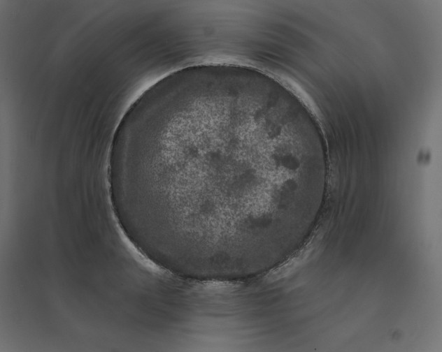 X0000094440847200711211454