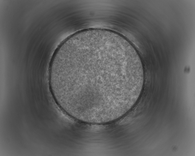 X0000094440848200711211454