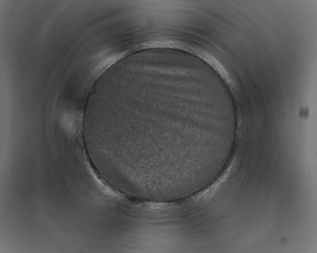 X0000094440849200711211454