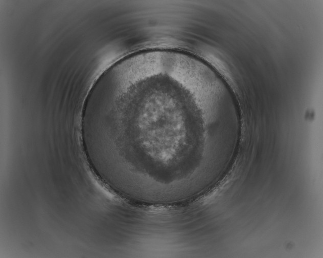 X0000094440850200711211454