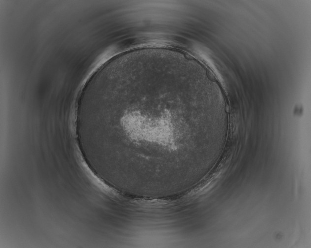 X0000094440851200711211454