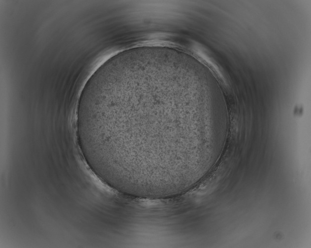 X0000094440852200711211454