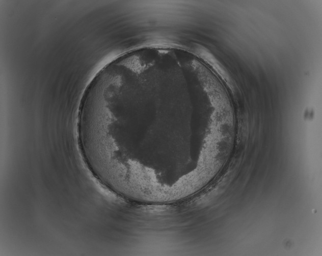 X0000094440853200711211454