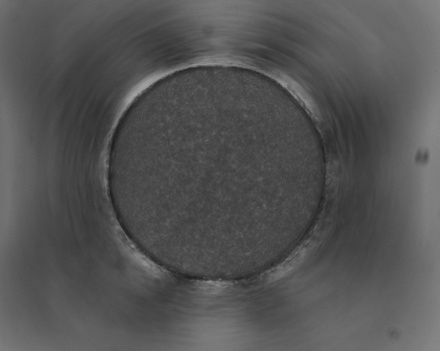 X0000094440854200711211454