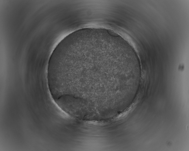 X0000094440855200711211454