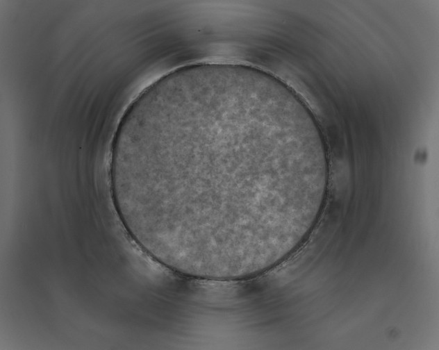 X0000094440856200711211454