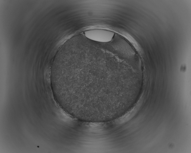 X0000094440857200711211454