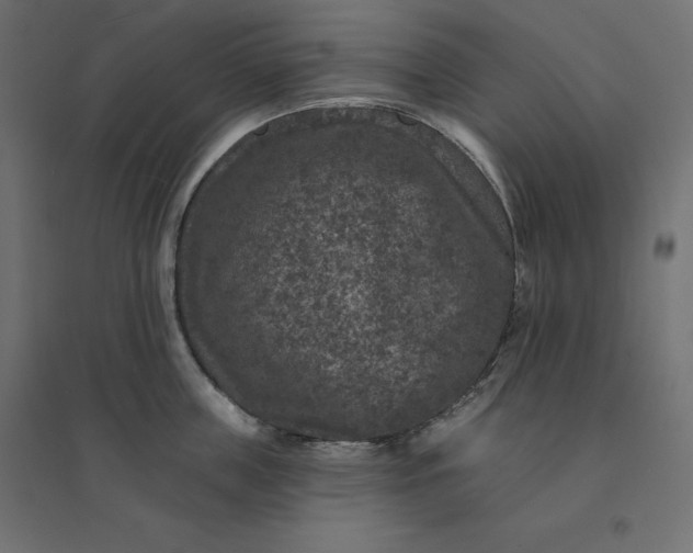 X0000094440859200711211454