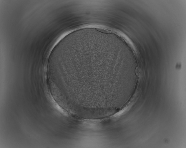 X0000094440860200711211454