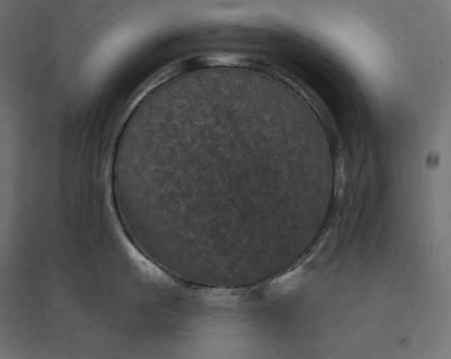 X0000094440861200711211454