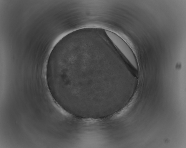 X0000094440862200711211454