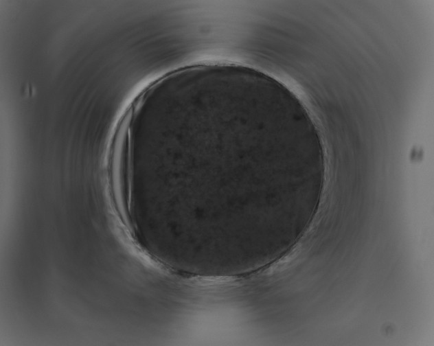 X0000094440864200711211454