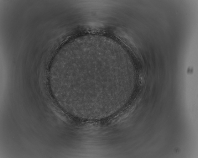 X0000094440865200711211454