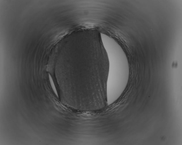 X0000094440868200711211454