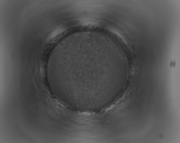 X0000094440869200711211454