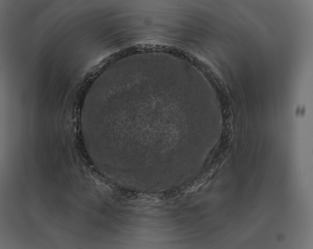 X0000094440870200711211454