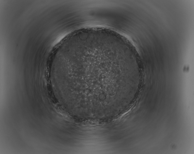 X0000094440871200711211454