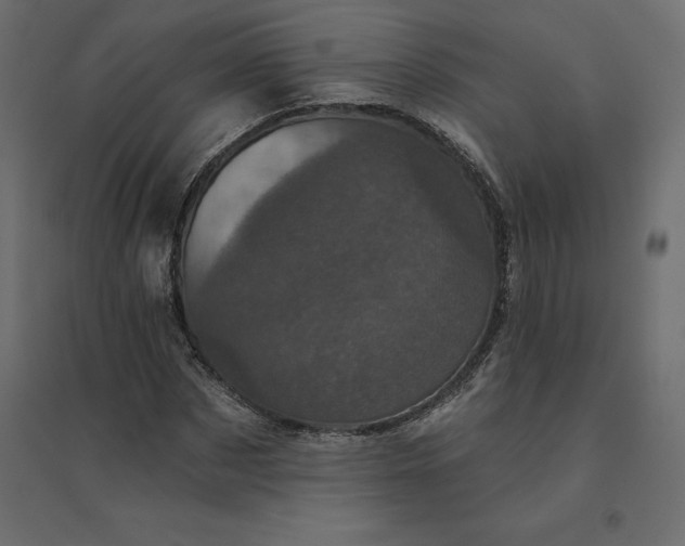 X0000094440873200711211454