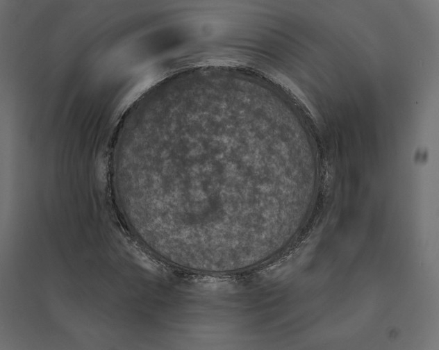 X0000094440874200711211454