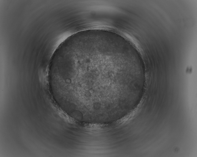 X0000094440875200711211454