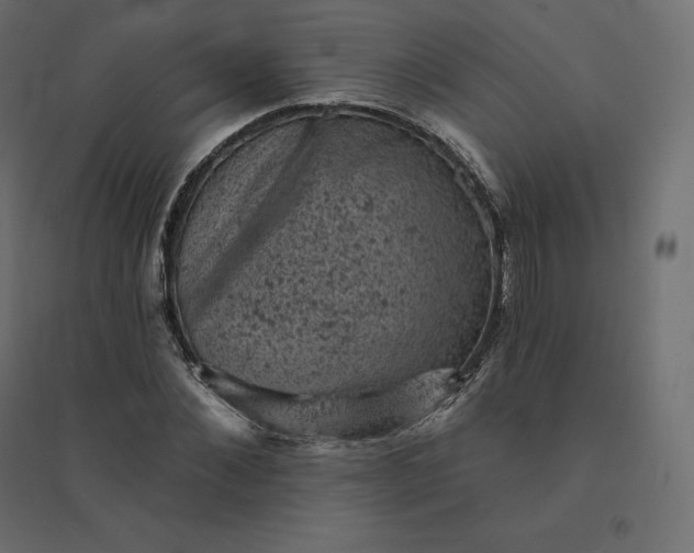 X0000094440876200711211454