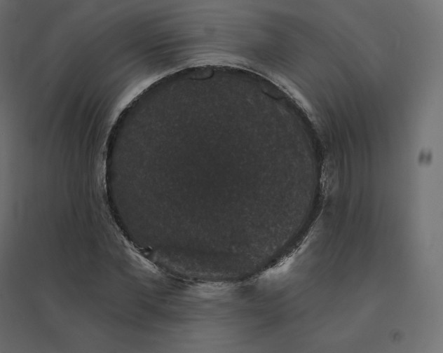 X0000094440877200711211454