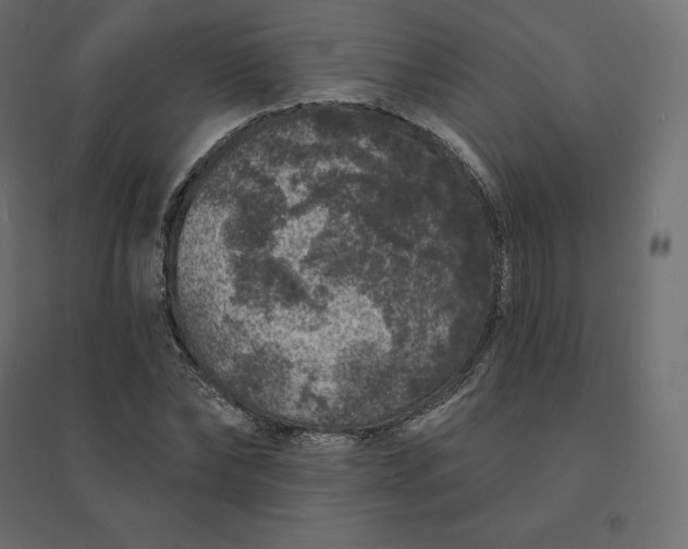 X0000094440878200711211454