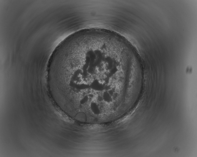 X0000094440879200711211454