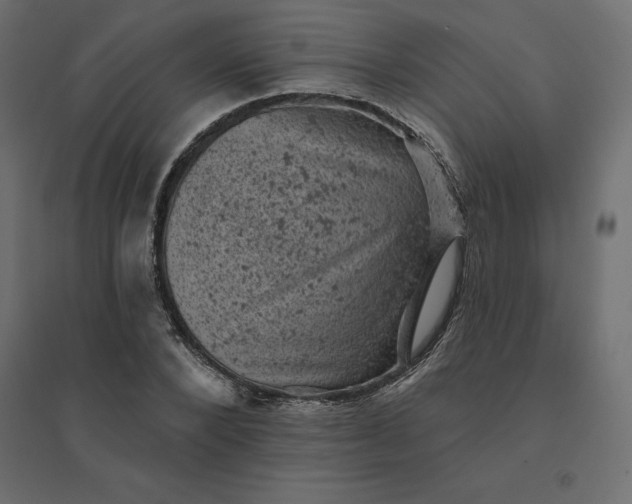 X0000094440880200711211454