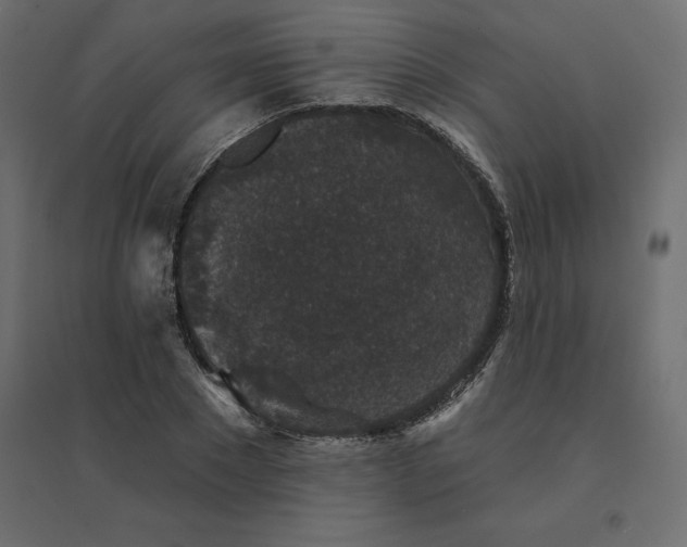 X0000094440881200711211454