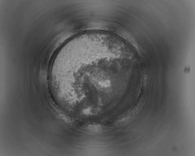 X0000094440882200711211454