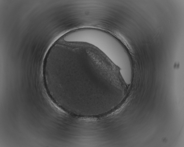 X0000094440884200711211453