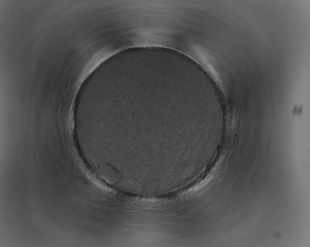 X0000094440885200711211453