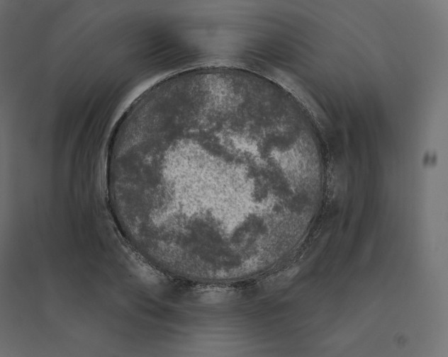 X0000094440886200711211453