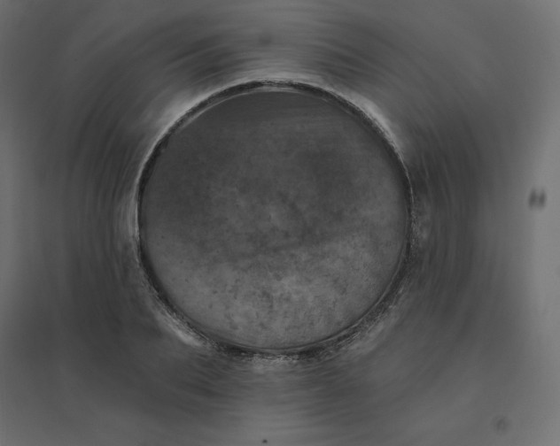 X0000094440887200711211453