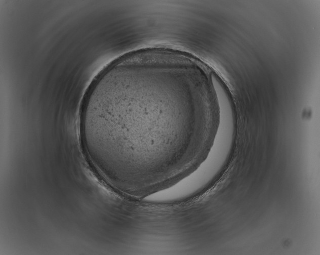 X0000094440888200711211453