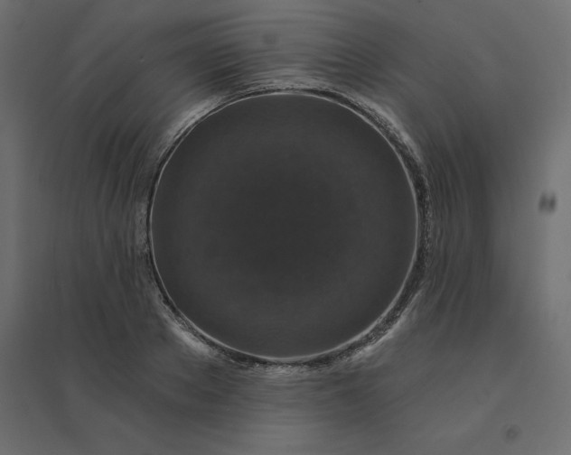 X0000094440889200711211453