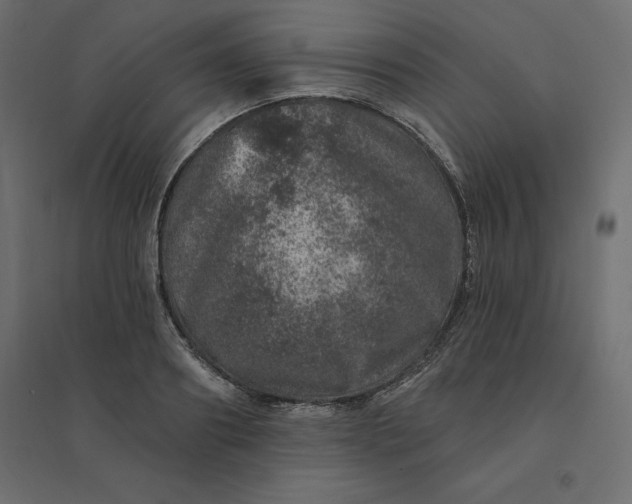 X0000094440890200711211453