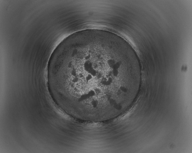 X0000094440891200711211453