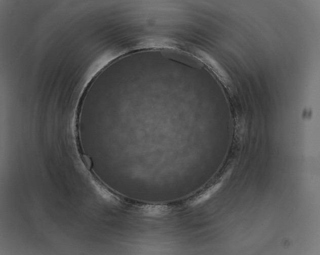 X0000094440893200711211453