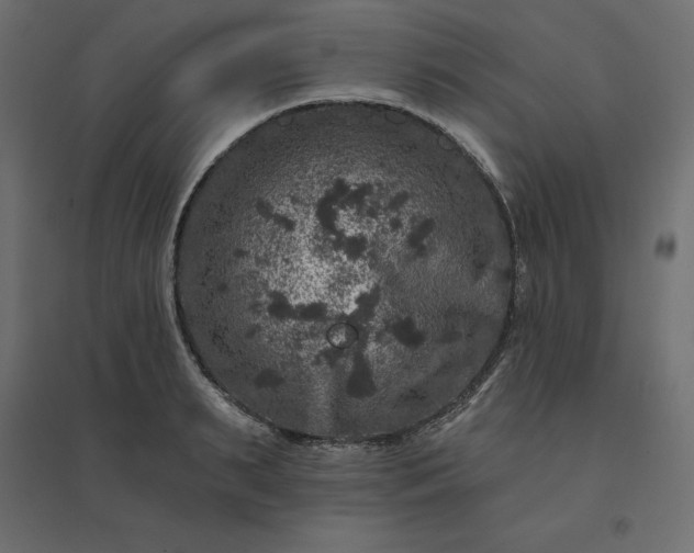 X0000094440895200711211453