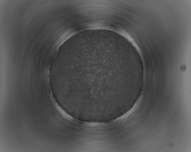 X0000094440897200711211453