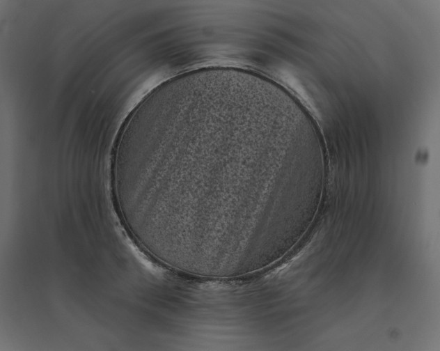 X0000094440898200711211453