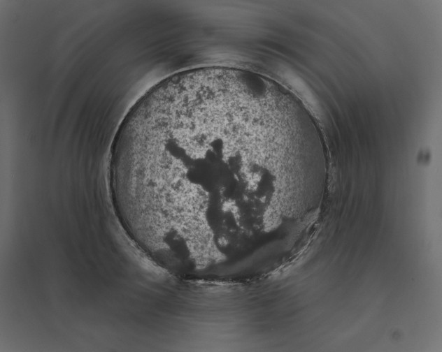 X0000094440899200711211453